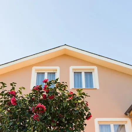 Casa Marino ** Навия